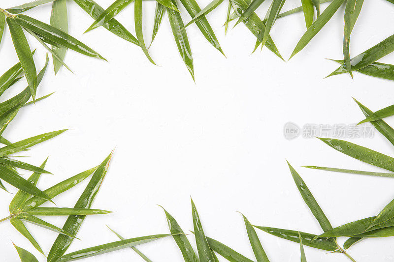竹叶框架孤立在白色的背景