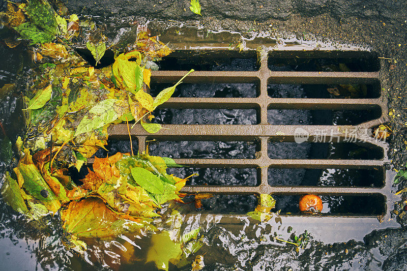 秋雨后落叶的下水道炉排