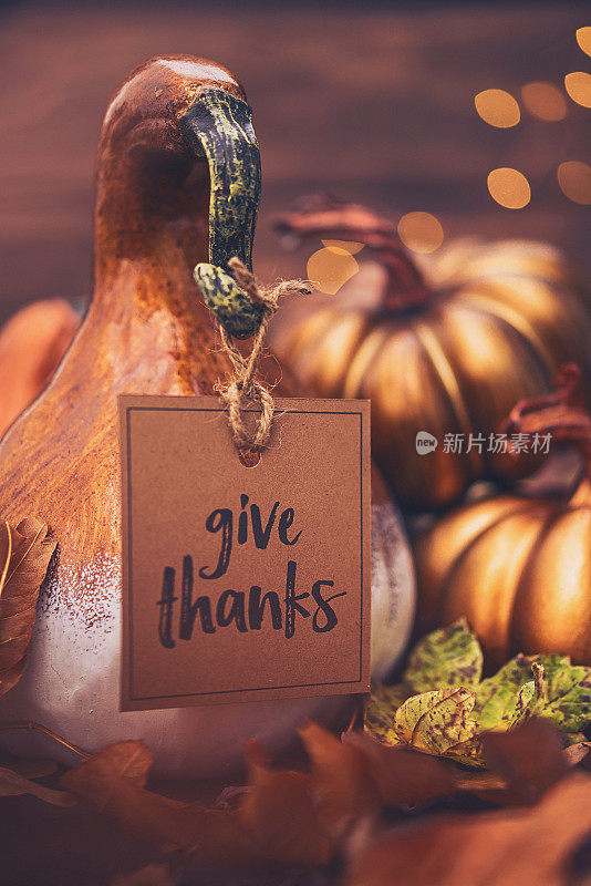 感恩仍是生活中的感恩信息