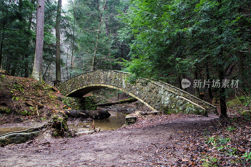 在俄亥俄州霍克山州立公园的魔法森林背景下的石桥