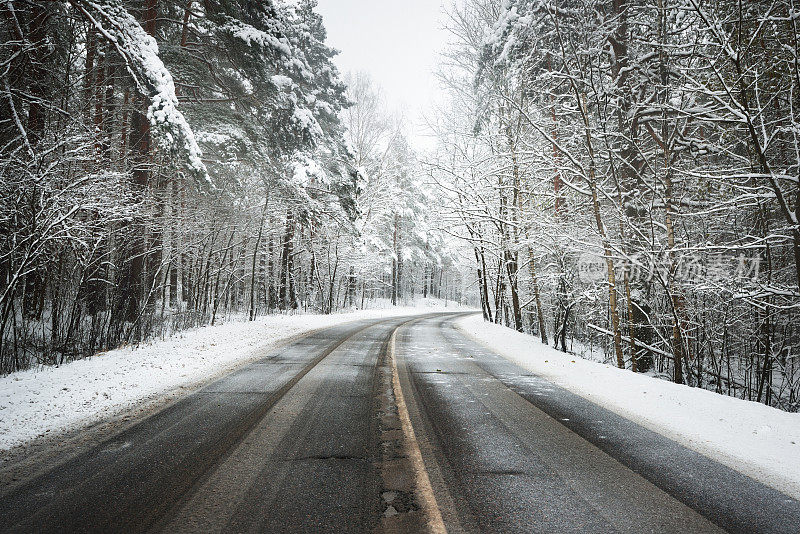 在拉脱维亚被雪覆盖的森林里，弯曲的柏油路