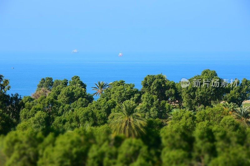 地中海沿岸