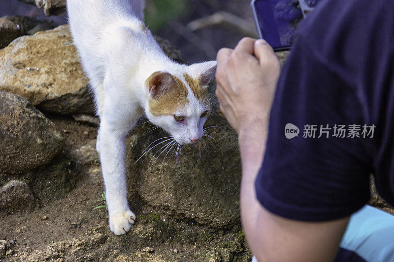 游客在费尔南多迪诺罗尼亚海滩玩得开心。