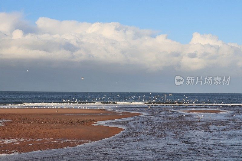 海和河上的云朵和海鸥