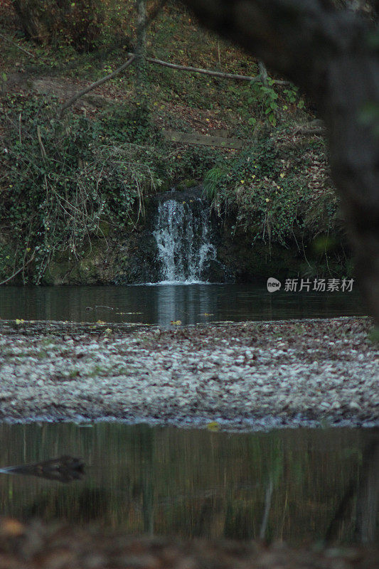 森林倒影在河水上