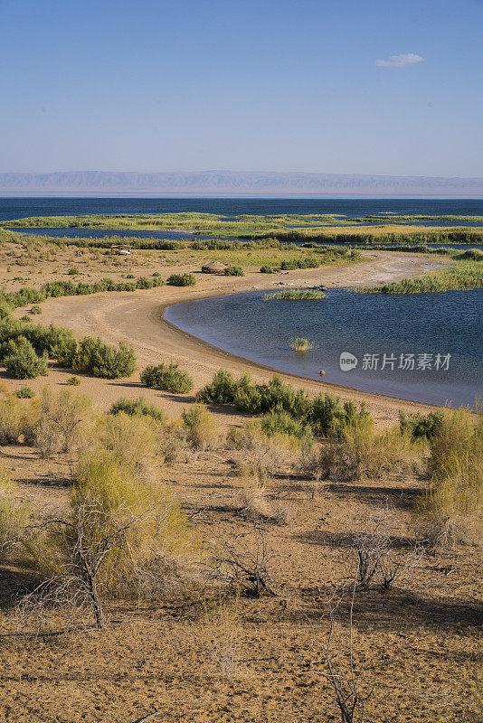 海湾，乌兹别克斯坦Kyzykum沙漠Aydar湖边缘的海滩