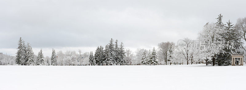 加拿大圭尔夫大学冰雪覆盖的校园全景图