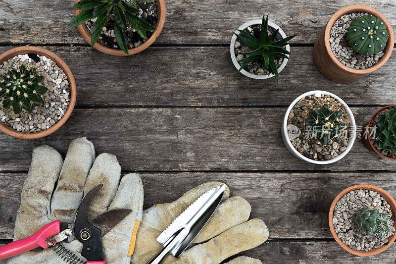 镘刀，手叉，锄头叉，园艺手套和芦荟盆栽植物木制背景，复制空间
