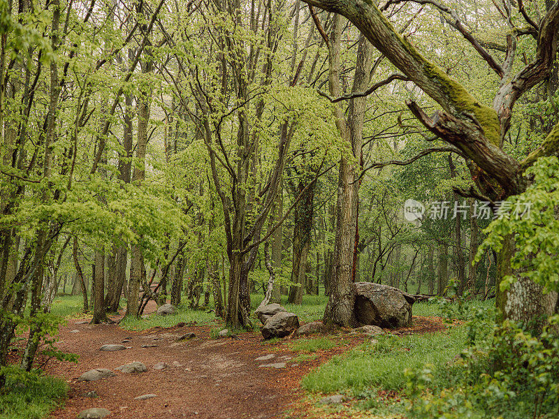 斯坦舒乌德国家公园风景秀丽