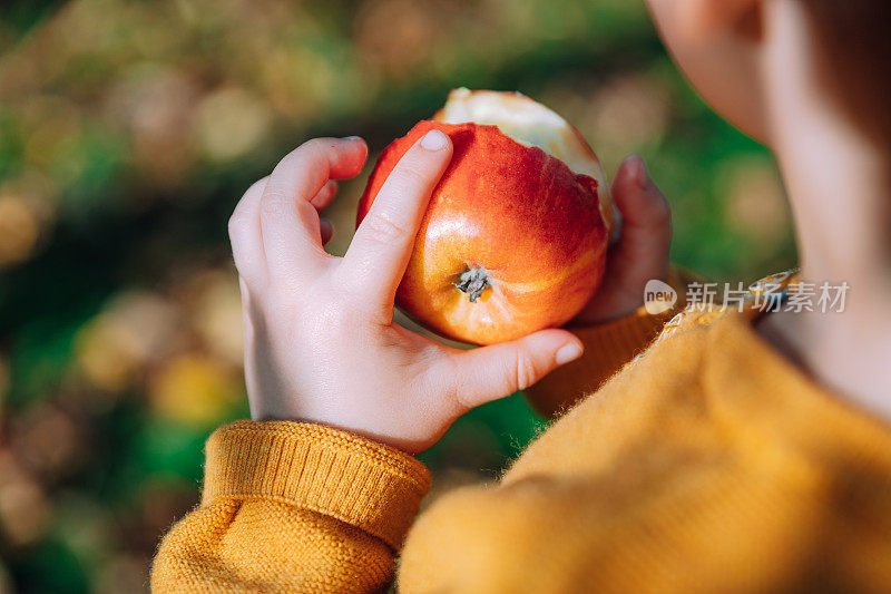 一个小男孩在果园里吃红苹果