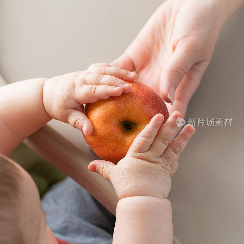 婴儿用水果。小男孩坐在绿色的高椅子上玩苹果