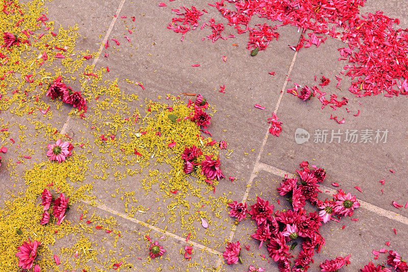 花瓣文摘