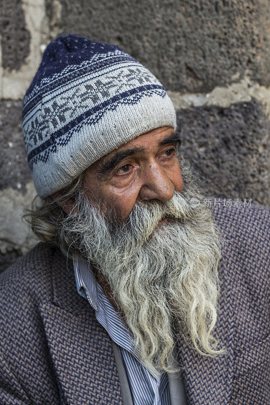 一个头发和胡子混在一起的老人的肖像
