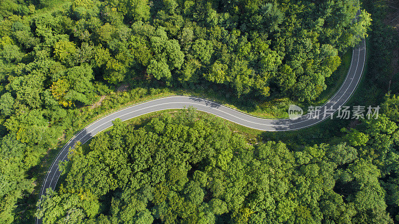 森林鸟瞰图中的道路曲线