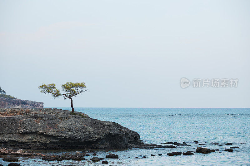 极简主义的背景