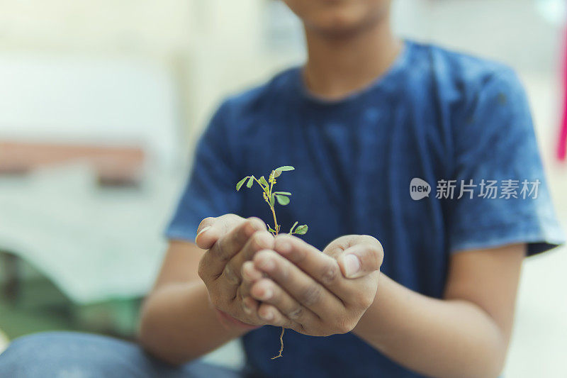 一个男孩重新盆栽植物和玩园艺在家里的屋顶上。