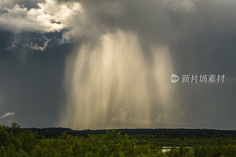 北极圈内一缕阳光照在夏雨上