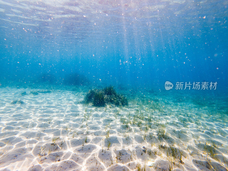 水下的海景，白色的沙底