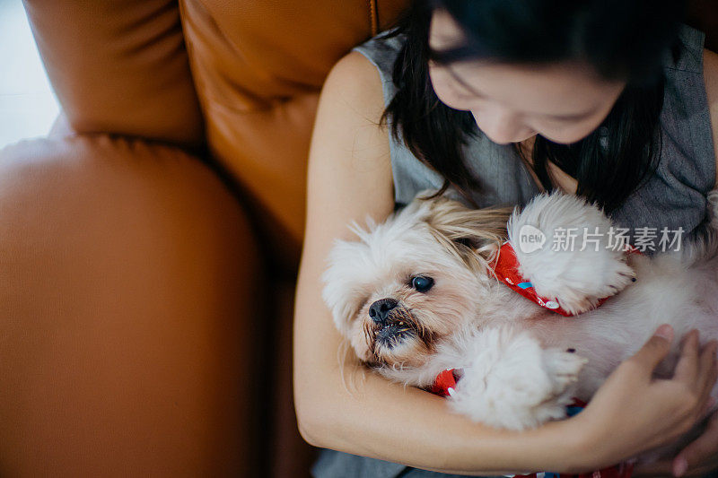 年轻的亚洲女人在客厅里和一只西施犬一起放松
