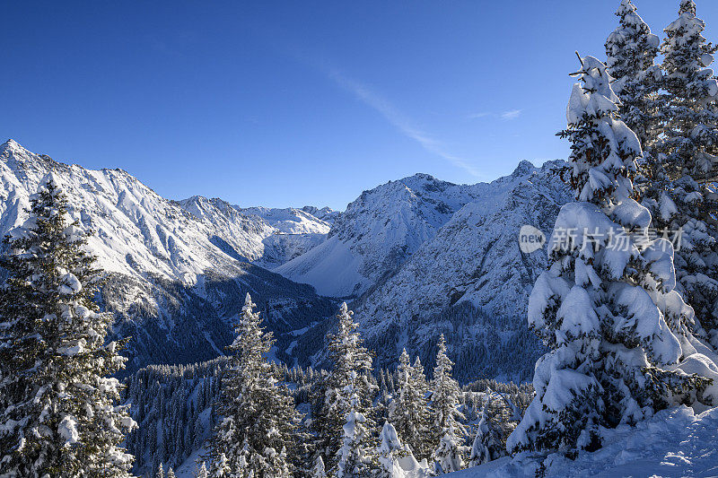 白雪皑皑的树木和群山