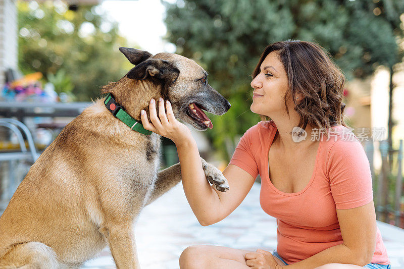 成熟的女人和她的狗-高加索女人和比利时牧羊犬在后院