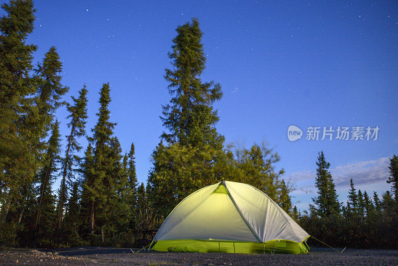 在森林营地的帐篷在早上的观点