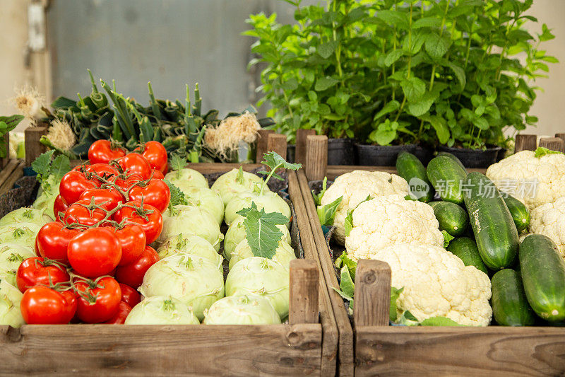 新鲜蔬菜，大头菜，西红柿，花椰菜和黄瓜