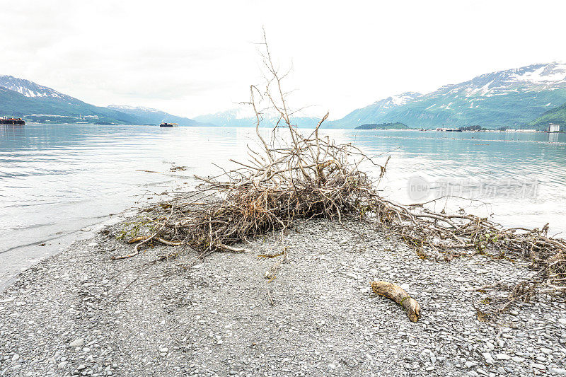 阿拉斯加的风景