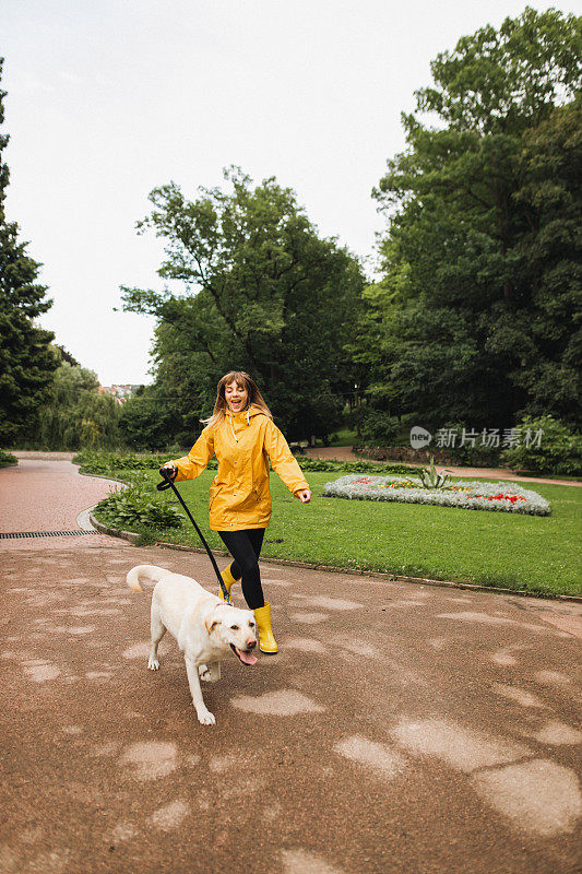 一个穿着黄色防雨服的女人和她的拉布拉多狗在公园里散步