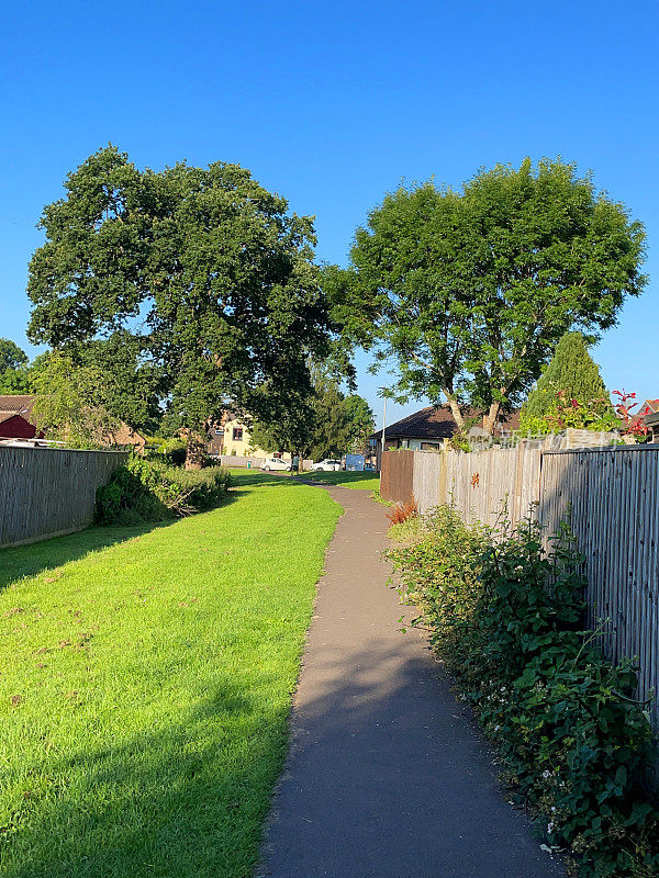住宅区域后花园之间的木栅栏小巷、混凝土人行道、成熟的普通英国橡树(栎树)和白蜡树(白蜡树)的图像