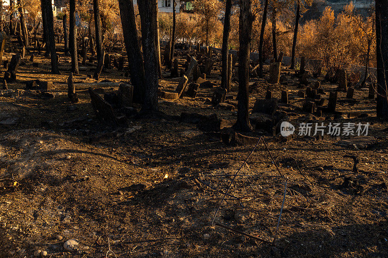 马纳夫加特卡勒姆勒村墓地森林火灾