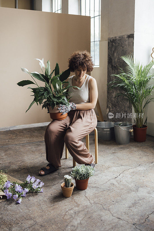 美丽的女花匠卷发坐在她的室内花园的凳子上，拿着一盆植物