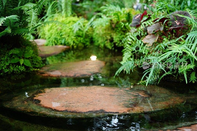 美丽的大石头在田园诗般的花园溪流中