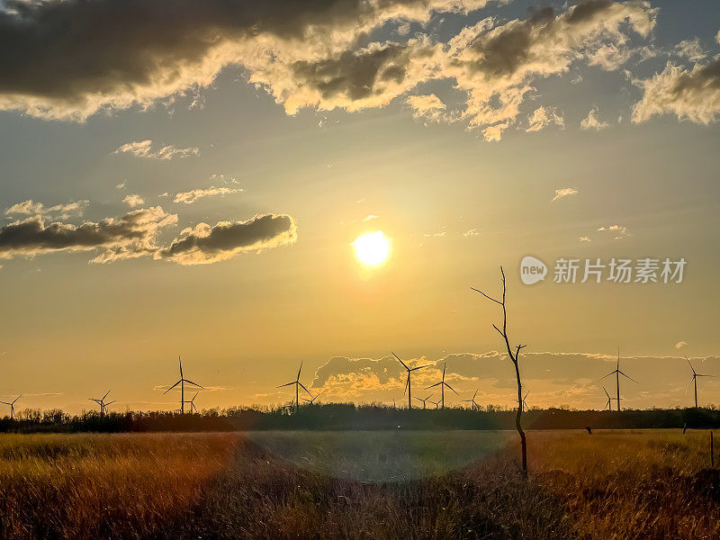 在寒冷的天气里，德国的沼泽景观在非常好的天气里。