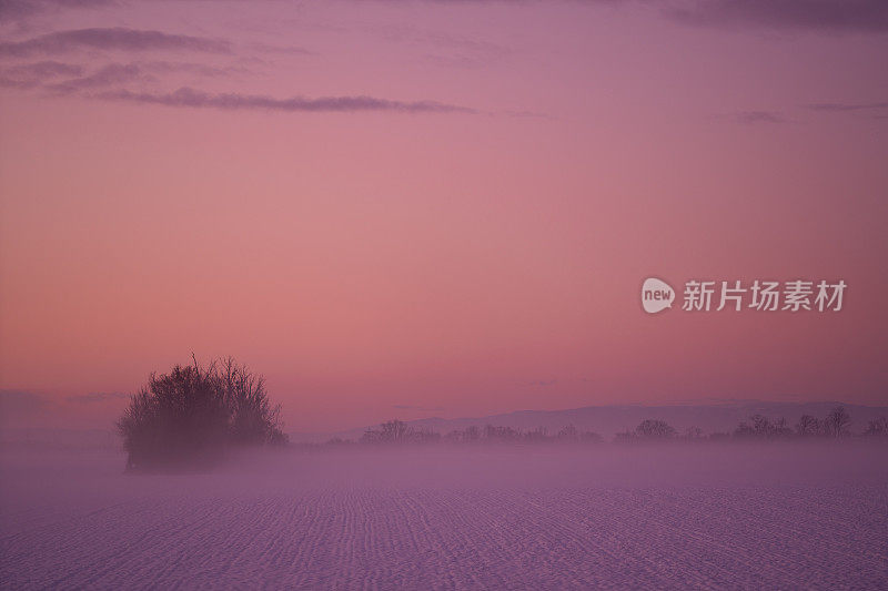 在寒冷的冬日清晨，田野上粉红色的日出心情