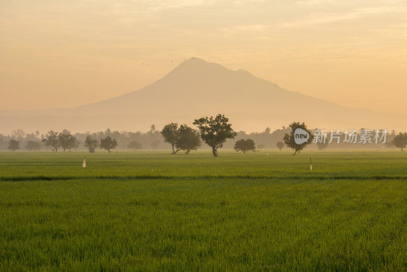 四人火山