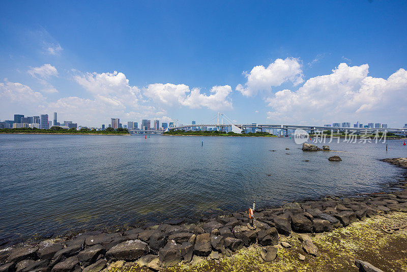 东京湾，公园和城市建筑的广阔视野