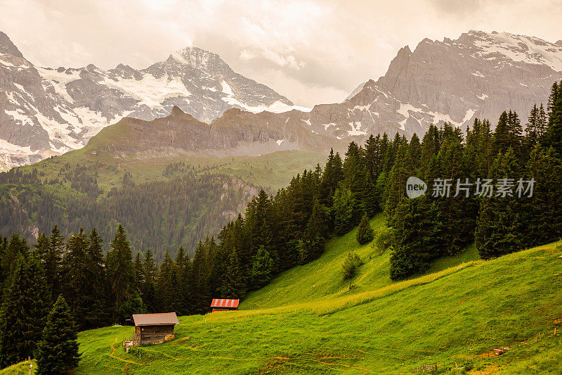 瑞士的穆伦村。传统的瑞士的风景。因特拉肯郡少女峰。阳光明媚的夏天的一天。山顶有雪。春天的壁纸。背景。航行。旅游目的地