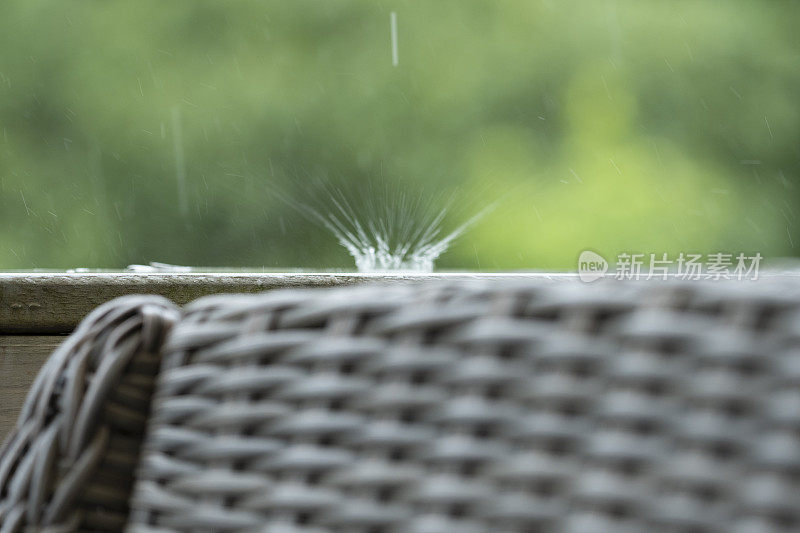 佐治亚州后院下着雨的早晨