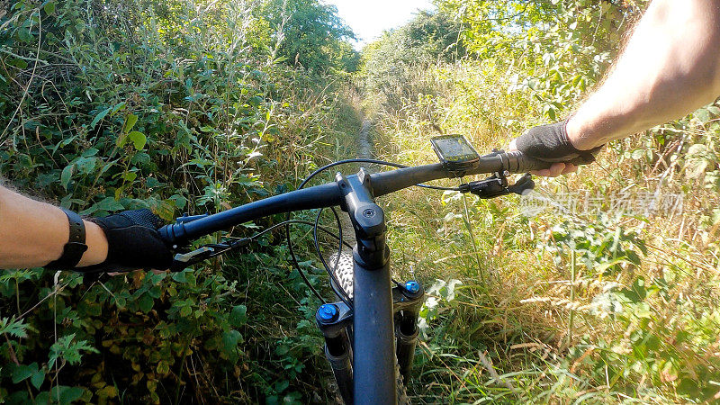 骑山地自行车穿过茂密的树林
