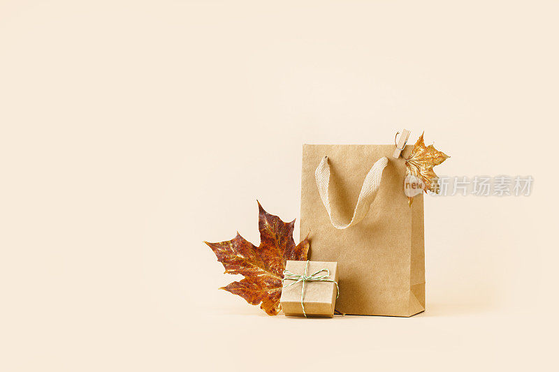 秋季礼品或销售概念。购物纸袋，秋季装饰。