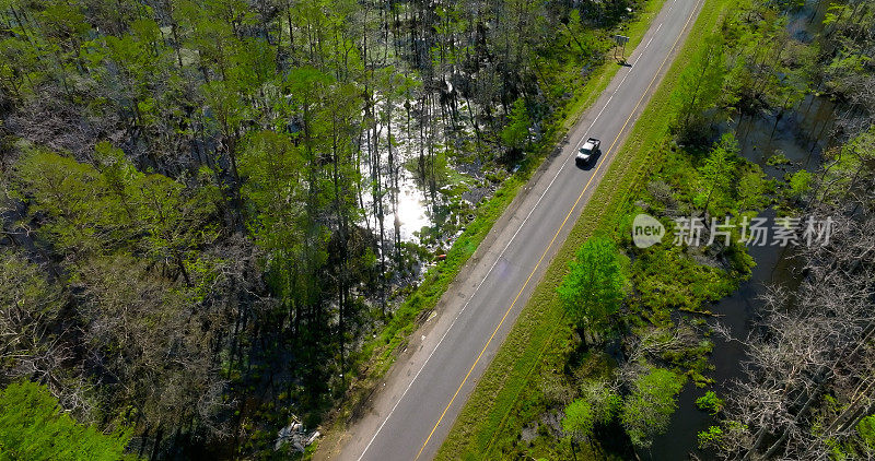 无人机拍摄的汽车驶过路易斯安那州的沼泽