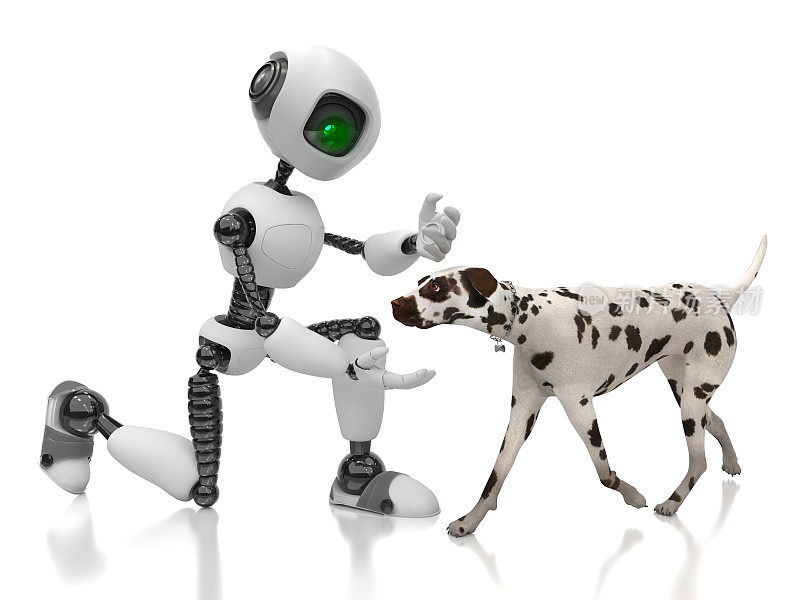 一个人形机器人和一只达尔马提亚狗玩耍。智能机器人和人工智能的未来概念。白色背景上的3D渲染