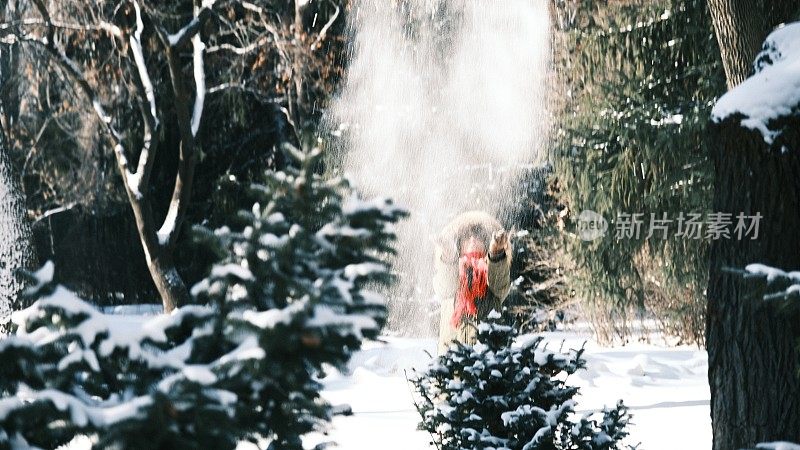 兴高采烈的女游客在冬季公园玩雪