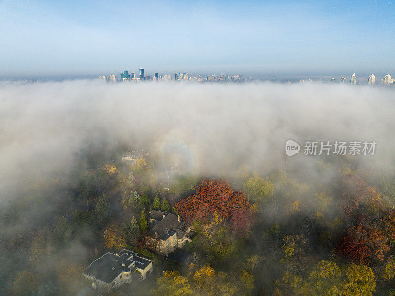 以市中心为背景的多伦多秋雾