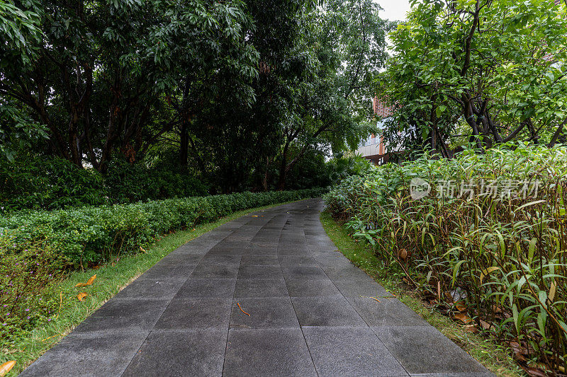 雨天室外地面道路和路边绿色植物