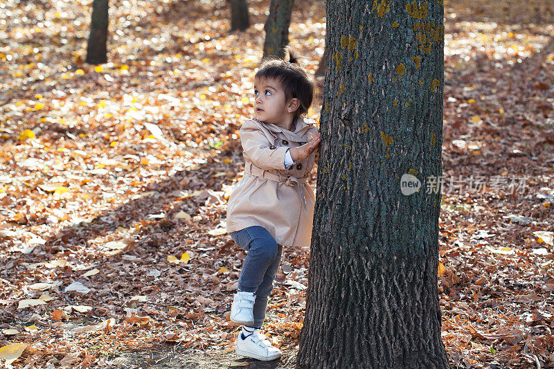 蹒跚学步的小女孩在公园玩捉迷藏