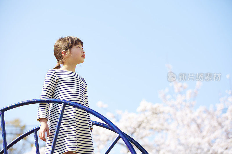 一个女孩站在樱花盛开的公园的滑梯上