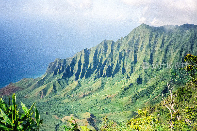 夏威夷的风景