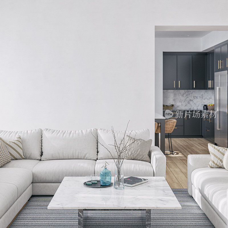 这是一间优雅客厅的正面照，里面有两张米色的沙发和装饰，背景是厨房的一角